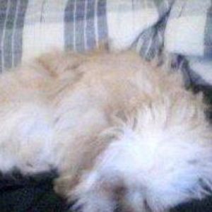 Meet your Posher, Jake